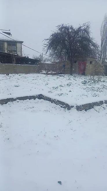 Torpaq sahələrinin satışı: 65 sot, Kənd təsərrüfatı — 11