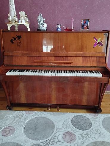 velosiped per page 40: "Kuban" Piano satılır. Tam islək vəziyyətdədir. Hec bir klavişində — 1