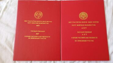 жер уй токмок: 20 соток, Кызыл китеп, Башкы ишеним кат, Белек келишими