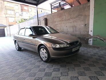 Opel: Opel Vectra: 1.8 l | 1996 il 261000 km Sedan — 10