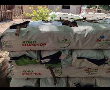 Kakabit: Kakabit : KOKO CHAMPİON. Meşokun biri 40 qəpik. Meşokda 2 kq olur — 5