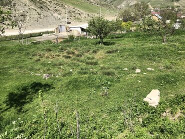 Torpaq sahələrinin satışı: 30 sot, Kənd təsərrüfatı, Mülkiyyətçi, Kupça (Çıxarış) -da lalafo.az — 11 Torpaq sahələrinin satışı: 30 sot, Kənd təsərrüfatı, Mülkiyyətçi, Kupça (Çıxarış) — 11