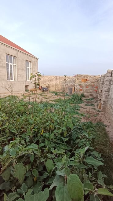 Həyət evləri və villaların satışı: Xəzər rayonu, Binə Atçılıq ərazisində həyət evi satılır. - Torpaq: 4 — 8