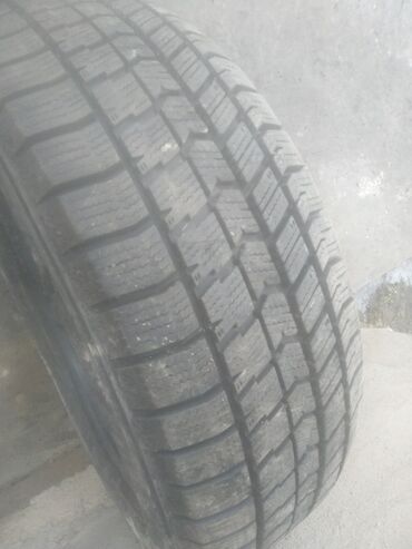 Шины: Шины 185 / 55 / R 16, Зима, Б/у, 1 шт, Легковые, Германия, GoodYear