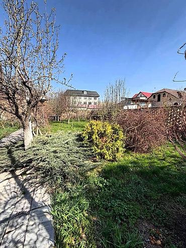 дом и сад: 9 соток, Для бизнеса, Договор купли-продажи, Красная книга, Тех паспорт — 6