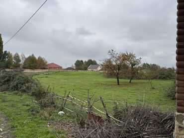 Torpaq sahələrinin satışı: 43 sot, Kənd təsərrüfatı, Mülkiyyətçi, Kupça (Çıxarış) — 9