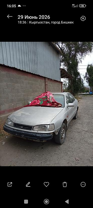 вытягивание вмятин: Hyundai Elantra: 2026 г., Седан — 2