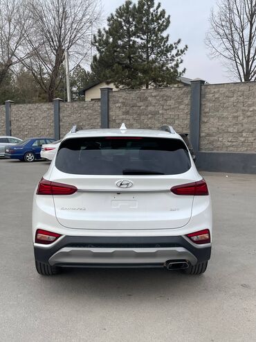 Hyundai: Hyundai Santa Fe: 2019 г., 2 л, Автомат, Бензин, Хэтчбэк — 5