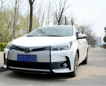 Решетки радиатора: Решетка радиатора 2024 г., Новый, Оригинал — 2