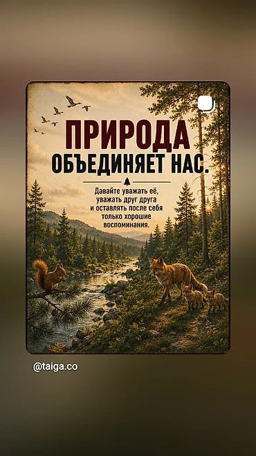 люстра цена бишкек: Ищу работу . Администраторакассирапродавца-консультанта. О себе _ — 1