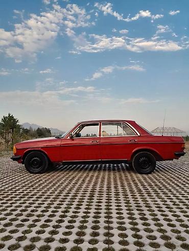 Mercedes-Benz: Mercedes-Benz E-Class: 1981 г., 2 л, Механика, Дизель, Седан — 7