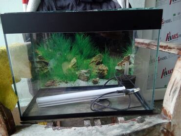 Akvariumlar: Dördbucaqlı Akvarium, Boş, 8 l, Ödənişli çatdırılma, Ünvandan götürmə