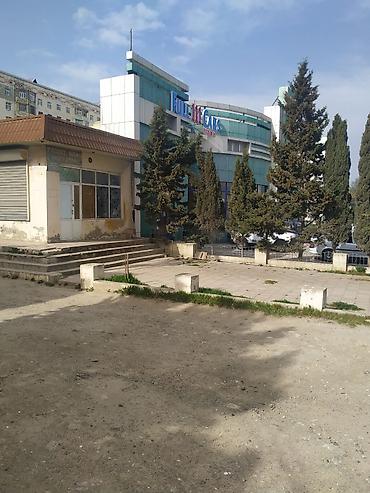 Продажа коммерческой недвижимости: Təcili!!! Razilaşma yolu ilə 17m/r, İsmət Qayıbov küçəsi, 35 kv, Yol — 4