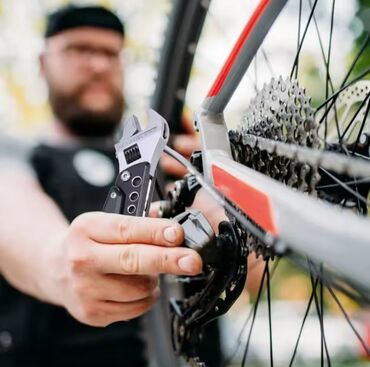 Laqondalar: Yeni Laqonda, Pulsuz çatdırılma — 14