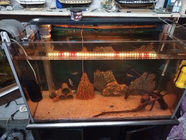 Akvariumlar: Akvaryum komplekti – şkaflı, sump filtrasiyalı - Şəffaf ön və yan — 11