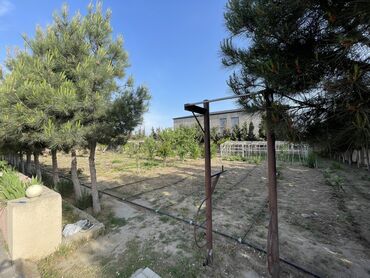 Bağ evlərinin satışı: Digah, 400 kv. m, 7 otaqlı, Hovuzlu, Kombi, Artezian quyusu, Kanalizasiya -da lalafo.az — 6 Bağ evlərinin satışı: Digah, 400 kv. m, 7 otaqlı, Hovuzlu, Kombi, Artezian quyusu, Kanalizasiya — 6