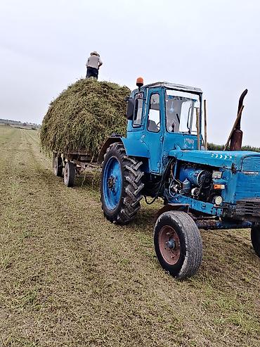 traktor bazar: MTZ tipli mavi rəngli təkərli traktor - Güclü dizel mühərriki, ön — 3