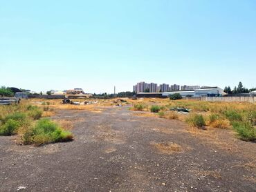 Anbar və emalatxanalar: Nərimanov rayonu, Ziya Bünyadov (Dərnəgül) şossesi, Baksol yolunda — 11