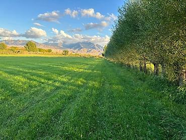 Продажа участков: 27500 соток at lalafo.kg — 5 Продажа участков: 27500 соток — 5