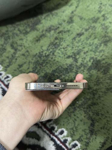 Apple iPhone: IPhone 13 Pro Max, Серебристый — 11