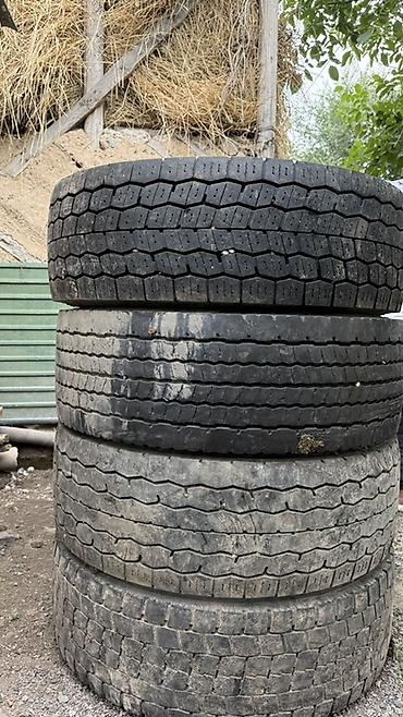 Транспорт: Грузовые шины 315/70 R22.5 (2 шины) И другие 295/60 (4 шины). Доп — 4