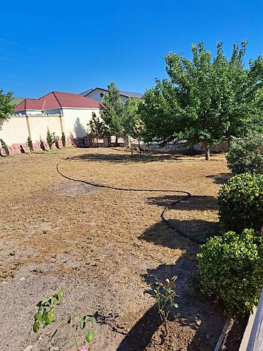 Torpaq sahələrinin satışı: Satılır torpaq 6 sot, Şüvəlan q. 🏡 SATILIR – 6 SOT TORPAQ SAHƏSİ — 2