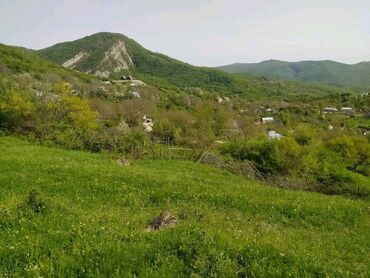 Günlük kirayə evlər: 40 kv. m, 2 otaqlı, Qaz, İşıq, Su