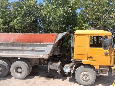 Грузовики: Грузовик, Shacman, Дубль — 3