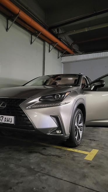Lexus: Lexus NX: 2018 г., 2.5 л, Автомат, Гибрид, Кроссовер — 11