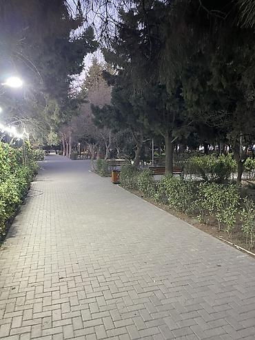 Kommersiya daşınmaz əmlakı: İcarəyə obyekt Bakı şəhəri Nizami Rayon Keşlə qəsəbəsində obyelt — 4
