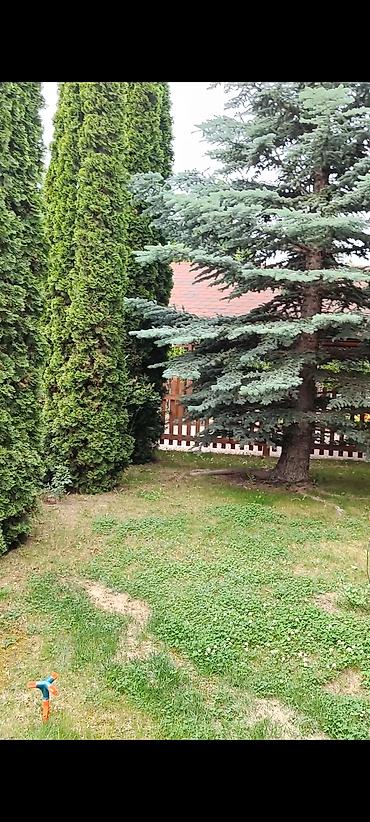 Иссык-Куль 2026: Коттедж, КОТТЕДЖ ЦО Ак Марал, Бает, Детская площадка, Парковка, стоянка, Охраняемая территория — 28