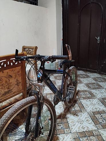 16 lıq velosiped: AKSPORT AK-03 dağ velosipedi - Çərçivə: yüngül ərintili, 26” təkər — 4