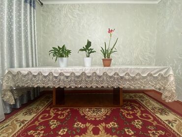 ротанговый стол: Стол для зала, Б/у, Не раскладной, Овальная, Дерево