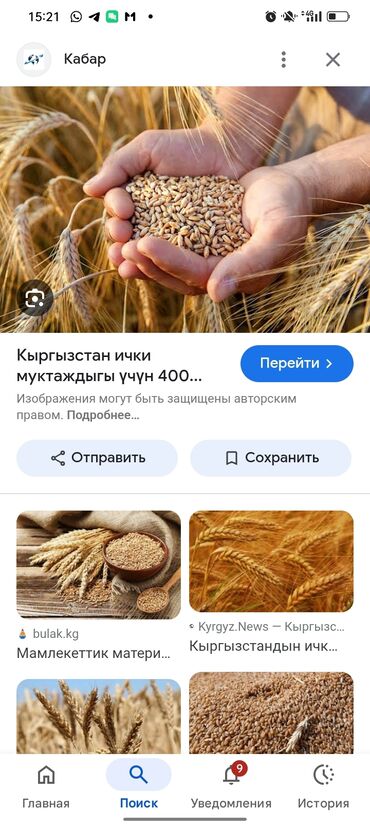 мёд цена за 1 кг бишкек: Кормовый пшеница. 5-класс, с доставкой, Бишкек на фуре -20сом, Баткен