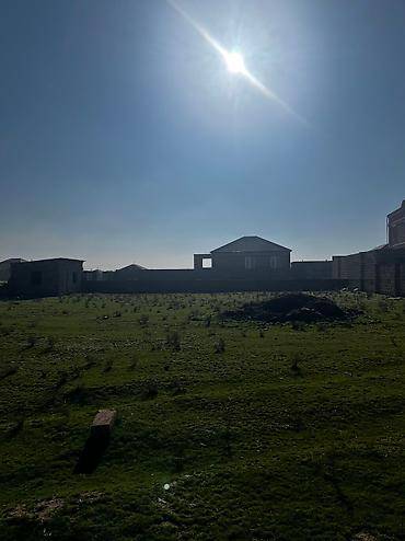 mehemmedli: 10 sot, Kənd təsərrüfatı, Barter mümkündür, Bələdiyyə, Kupça (Çıxarış) — 5