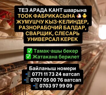 Производство: Требуется Разнорабочий на производство, Оплата Ежемесячно