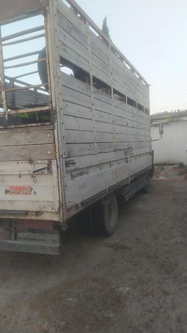 255 35 19: Mercedes-Benz 1996 il, motor 3.9 l, Bort, İşlənmiş — 9