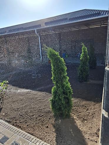 Другие стройуслуги: Газон Под ключ Посев газон 
ландшафтный дизайн сеем
газон — 2