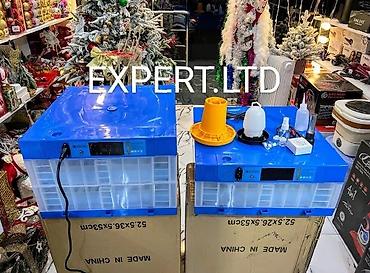 İnkubatorlar: Çin, Tam avtomat, Bütün növ quşlaq üçün, Azərbaycan dilində təlimat — 5