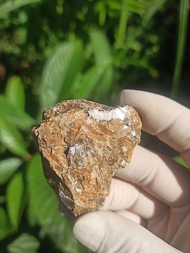 cib saatı: Milyon İllik Tarixi Fosil 💎 Daşlaşmış Ağac ( Petrified Wood ) 🪵 ✨ Bu — 4
