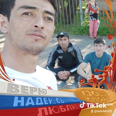 картина лошадь: Штукатурка Мастер, Sandy plaster, Manual application, Универсальная