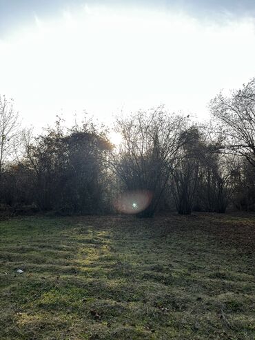 Torpaq sahələrinin satışı: Qəbələ rayonunun Soltannuxa kəndində magistral yolun düz kənarında — 8