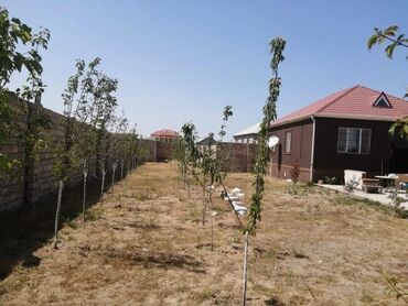 Bağ evlərinin satışı: Bakı, Qala qəs., 115 kv. m, 3 otaqlı, Hovuzsuz, Kombi — 7