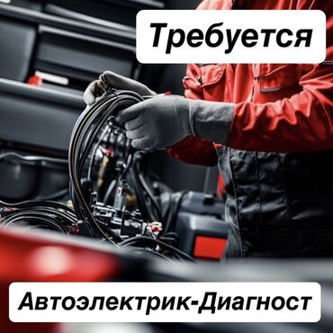 работа для программиста без опыта: Требуется Автоэлектрик, Оплата Еженедельно, Процент от дохода, Более 5 лет опыта, Официальное трудоустройство