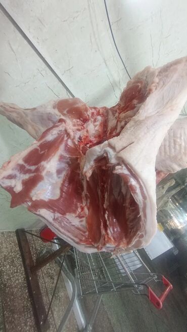 Ət: Məhsul: Qaban (donuz) əti – karkas və hissələr
və sala 7 manat — 18