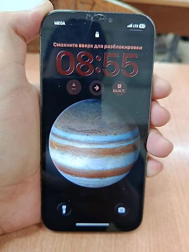 Apple iPhone: IPhone 12 Pro Max, Графит, Чехол — 8