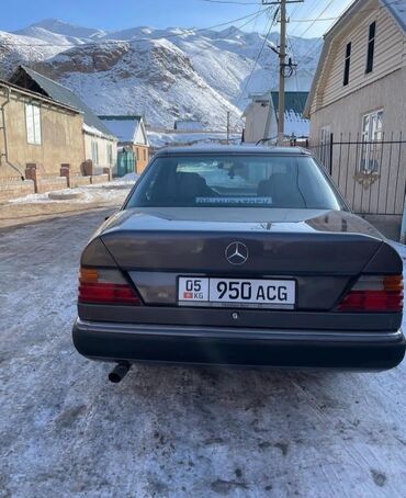 Mercedes-Benz: Mercedes-Benz 250: 1990 г., 2.5 л, Механика, Дизель, Седан