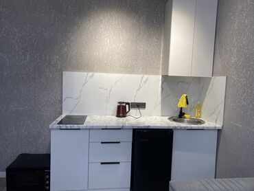 чок тал отдых: 2 комнаты, 40 м², Элитка, 1 этаж, Евроремонт