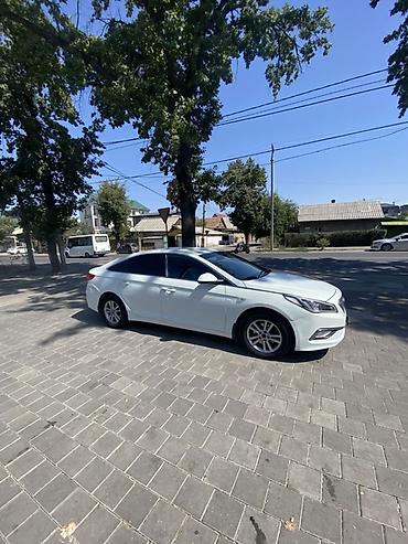 sonata ef: Hyundai Sonata: 2019 г., 2 л, Автомат, Газ, Седан — 5