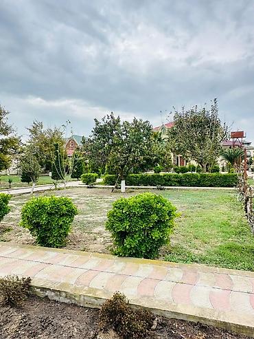 Günlük kirayə evlər: Bağ evi kirayə verilir, Mərdəkan Mərdəkanda yerləşən isti, hovuzlu bağ — 3